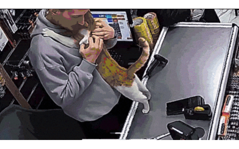 Эхдээ гологдсон бяцхан муурын түүх